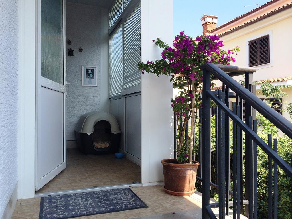 Apartments Kolorcek イゾラ エクステリア 写真